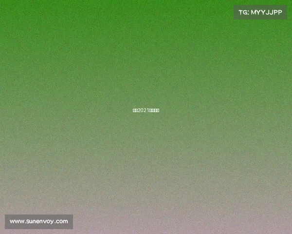 中国2021格斗比赛